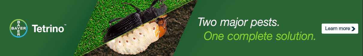 Bayer Tetrino Ad